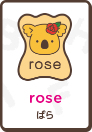 rose ばら
