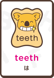teeth は